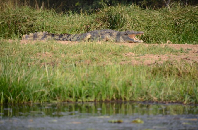 UNADJUSTEDNONRAW_thumb_294e